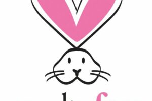 How To Go Cruelty-Free?