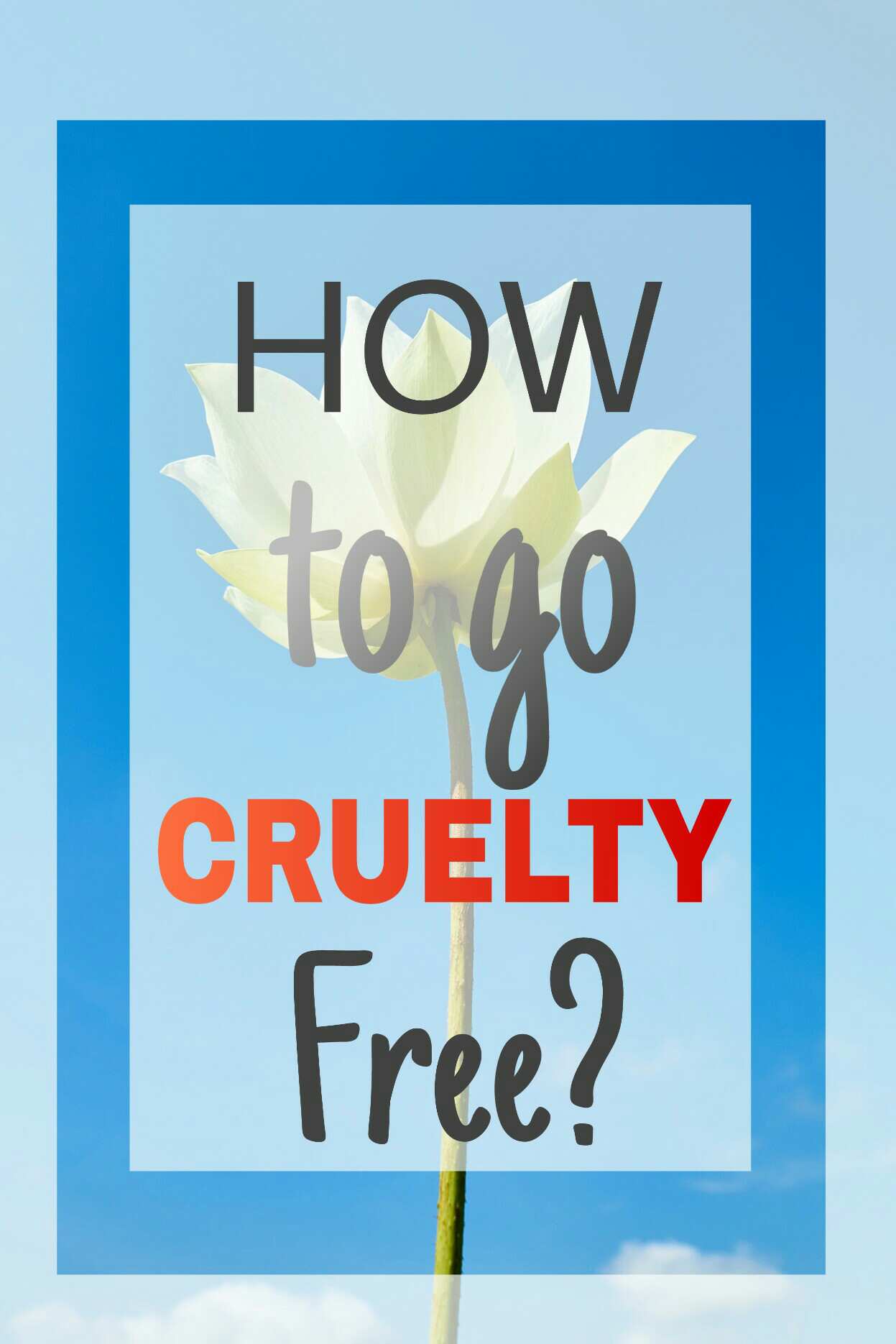 How To Go Cruelty-Free? - Cruelty Free Guide