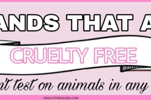 Cruelty Free Makeup Brands
