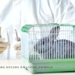 Animal Testing for Cosmetics