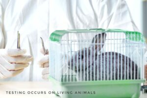 What is Animal Testing in Cosmetics? How is it Cruel?