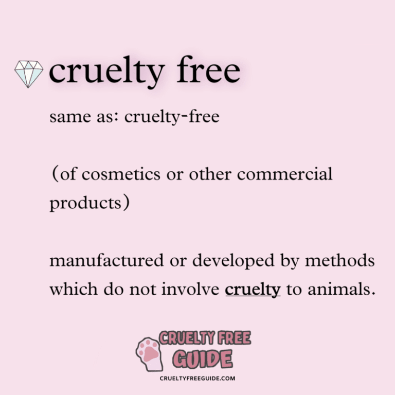 glossary-cruelty-free-terminologies-explained-in-simple-words