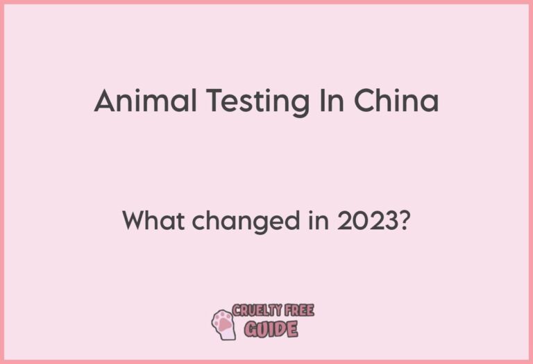 Pre & PostMarket Animal Testing Still Happening in China 2023