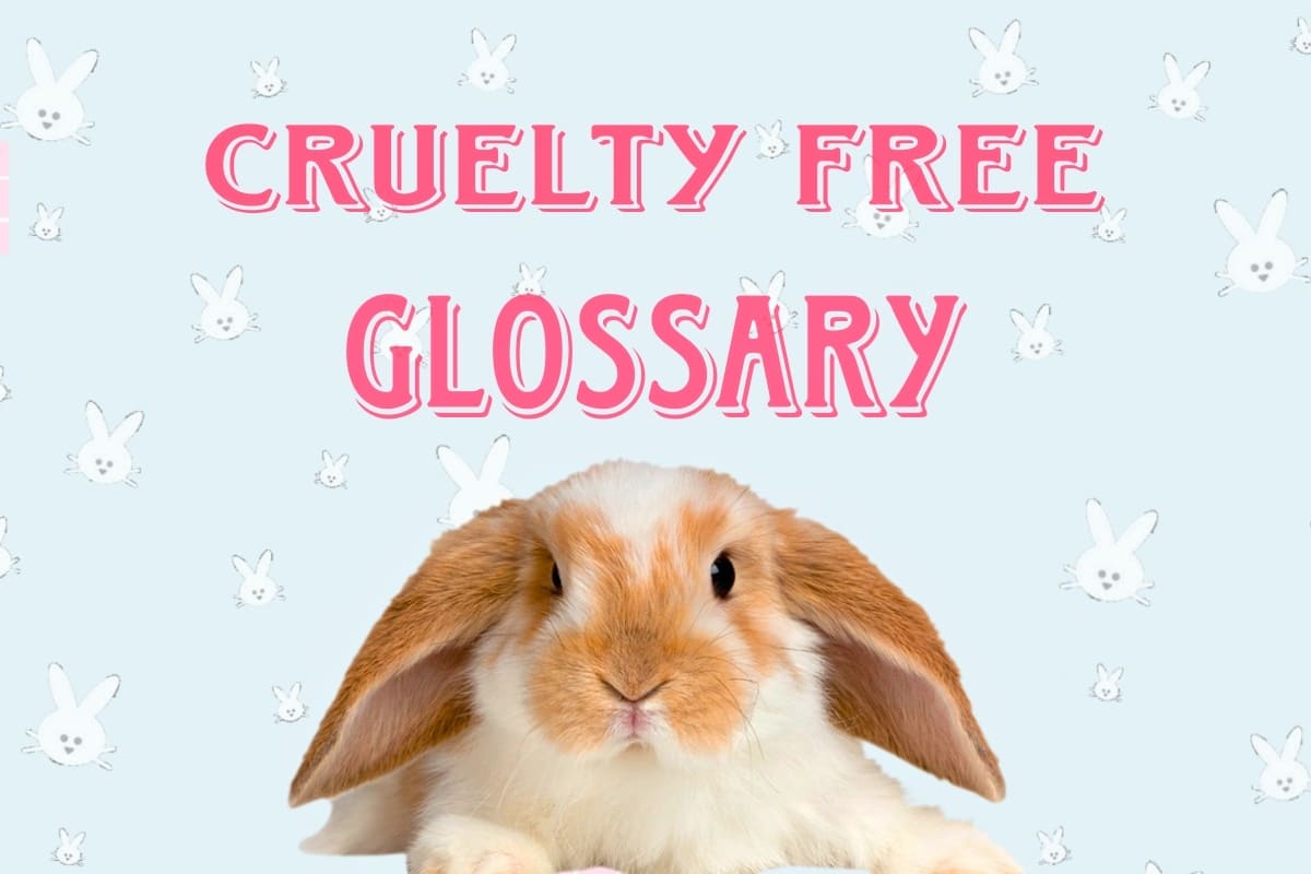 Glossary - Cruelty Free Terminologies Explained in Simple Words