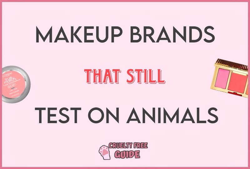 Makeup Brands That Test On Animals