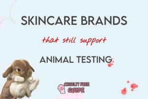 Skincare Brands that Currently Test on Animals