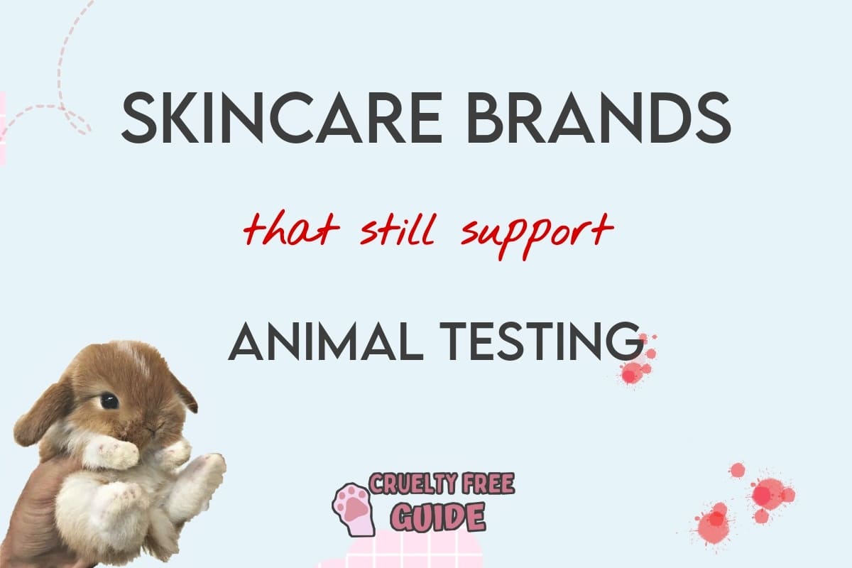 CrueltyFree Kitty  Stop supporting brands that fund tests on animals when  these tests are 1 extremely cruel and killing millions of innocent animals  and 2 not nearly as accurate as nonanimal