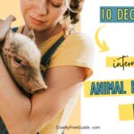 International Animal Rights Day