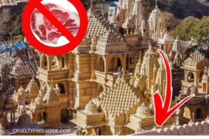 World’s First No-Meat City is Here